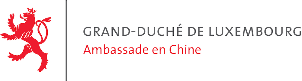 GDL Amb Chine